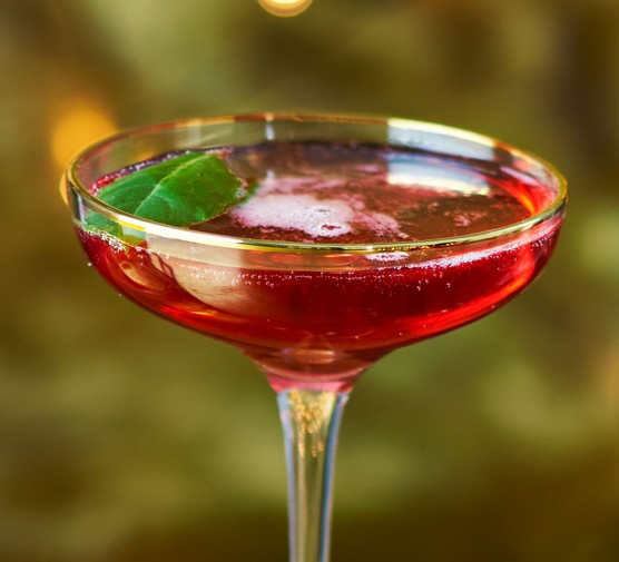 Poinsettia cocktail in a coupe glass